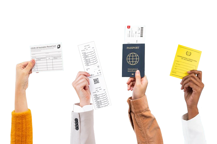 خدمات رانیکا