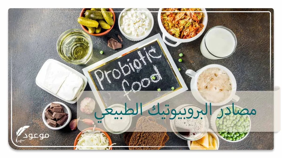 مصادر البروبيوتيك الطبيعي