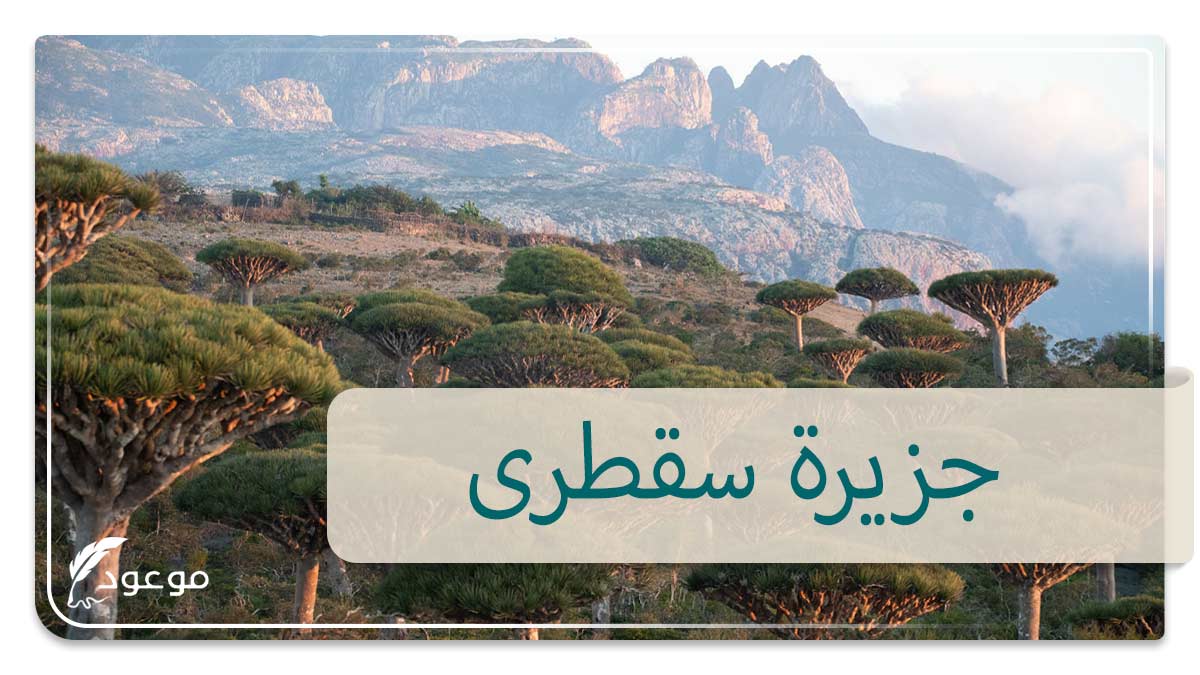 جزيرة سقطرى