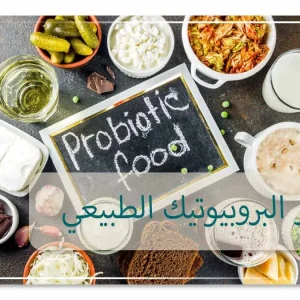 مصادر البروبيوتيك الطبيعي