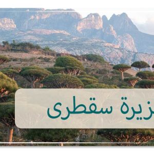 جزيرة سقطرى